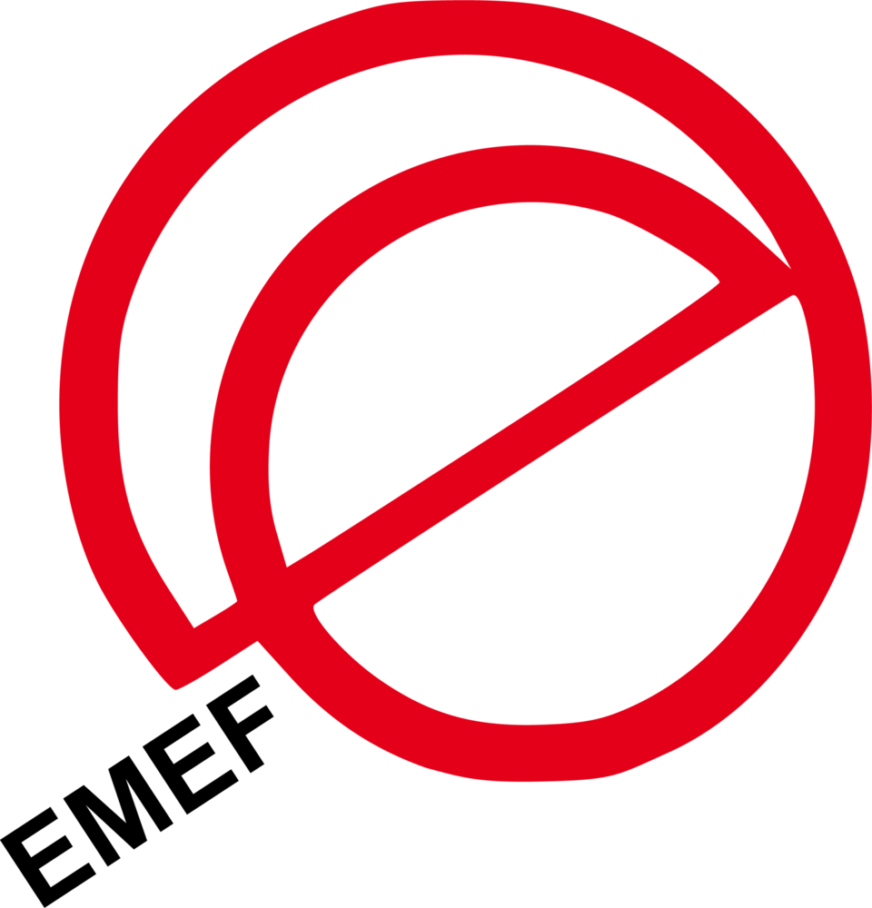 EMEF Logo PNG Vector