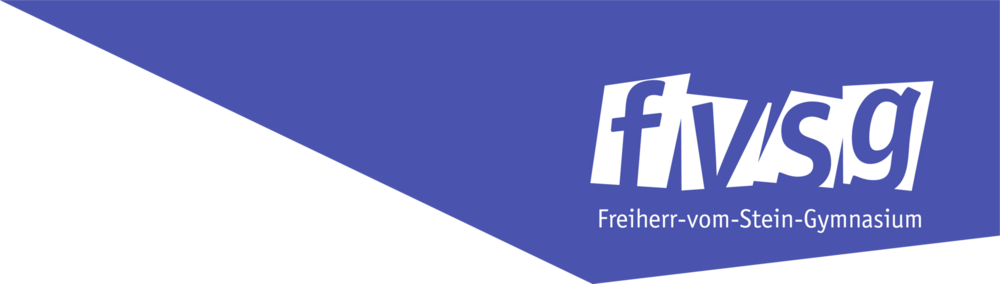 Freiherr-vom-Stein-Gymnasium Logo PNG Vector