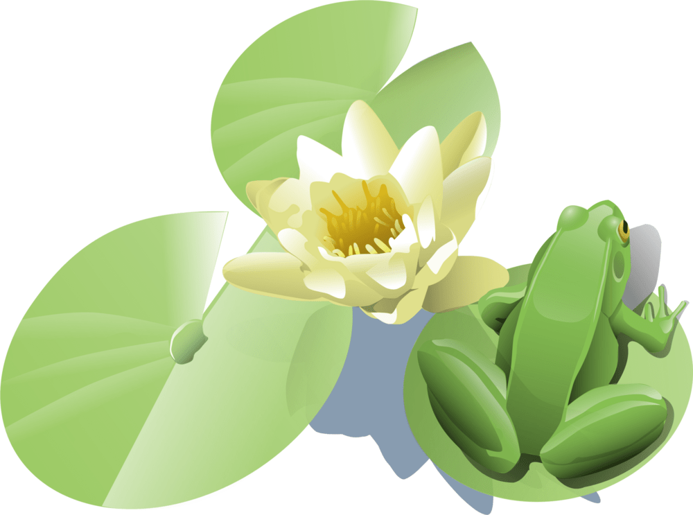 Frog on a lily pad Logo PNG Vector