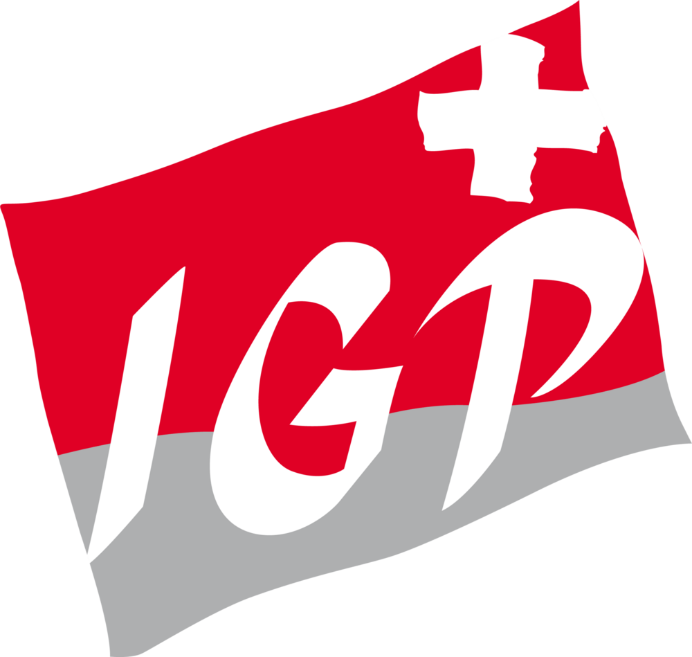 IGP Logo PNG Vector