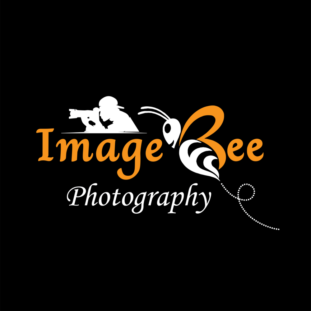 Image Bee Photography Logo PNG Vector