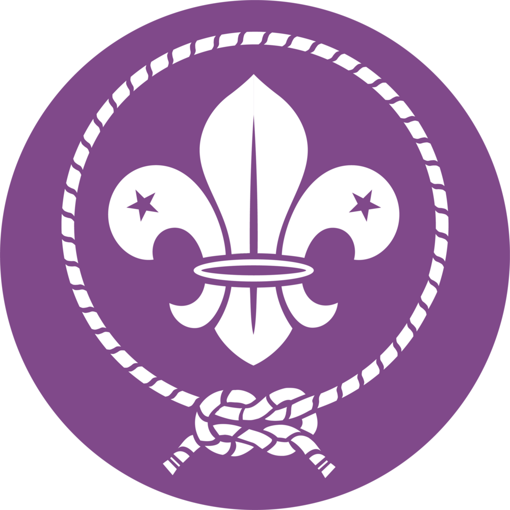 Scout Logo PNG Vector
