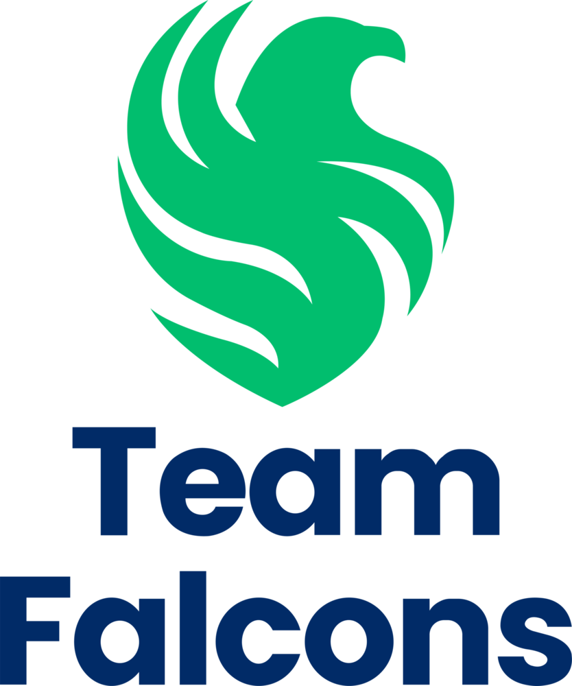 Team Falcons Logo PNG Vector
