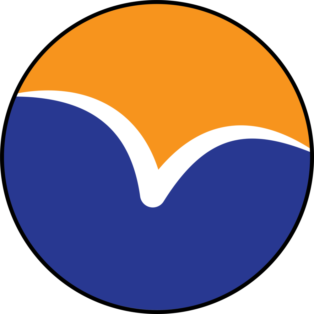 Vazilea Sport Logo PNG Vector