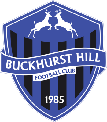 Buckhurst Hill FC Logo PNG Vector