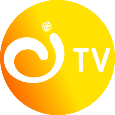Canal Institucional Tv Logo PNG Vector