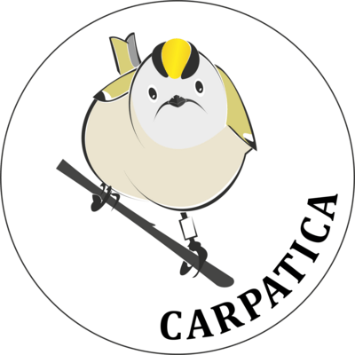 Carpatica Logo PNG Vector
