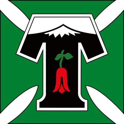 Deportes Temuco Logo PNG Vector