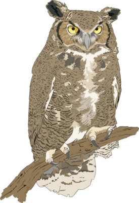 Eagle Owl Logo PNG Vector