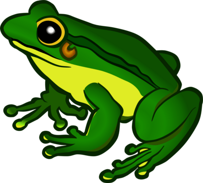 Frog Logo PNG Vector