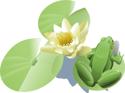 Frog on a lily pad Logo PNG Vector