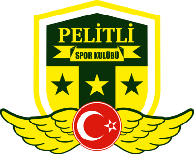 Gebze Pelitlispor Logo PNG Vector