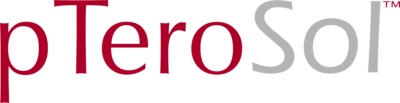 pTeroSol Logo PNG Vector