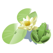 Frog on a lily pad Logo PNG Vector