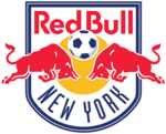 New York Red Bulls Logo PNG Vector
