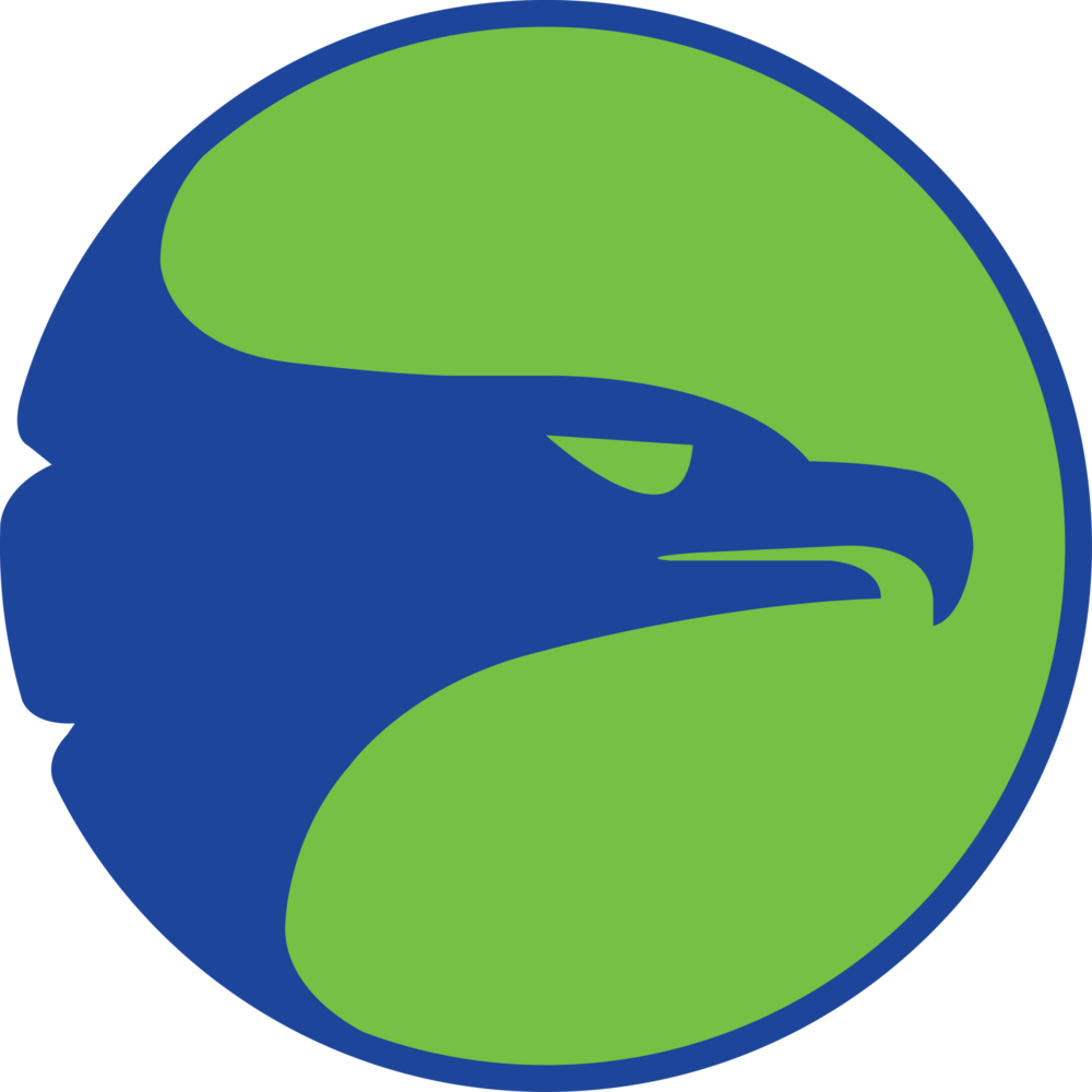Atlanta Hawks 1970-1972 Logo PNG Vector