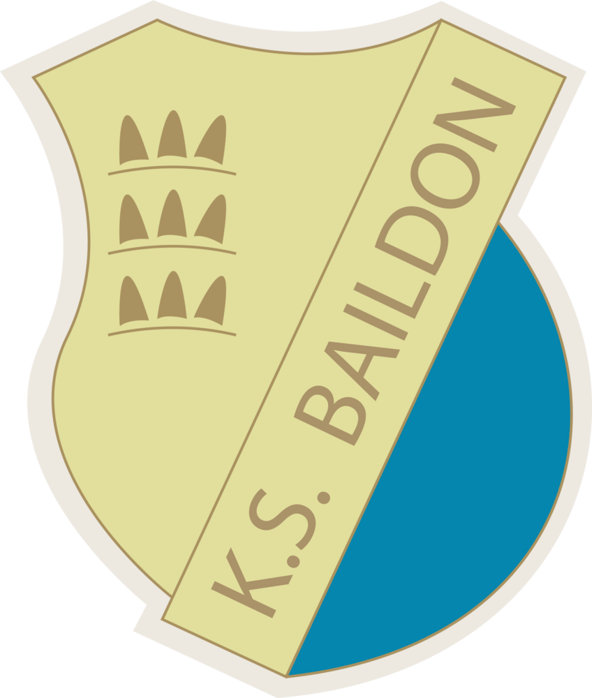 Baildon Katowice Logo PNG Vector