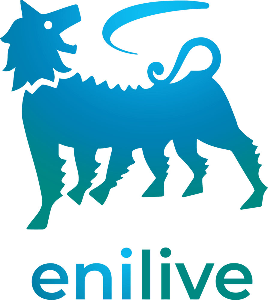 ENILIVE Logo PNG Vector