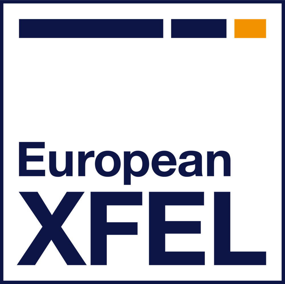 European XFEL Logo PNG Vector