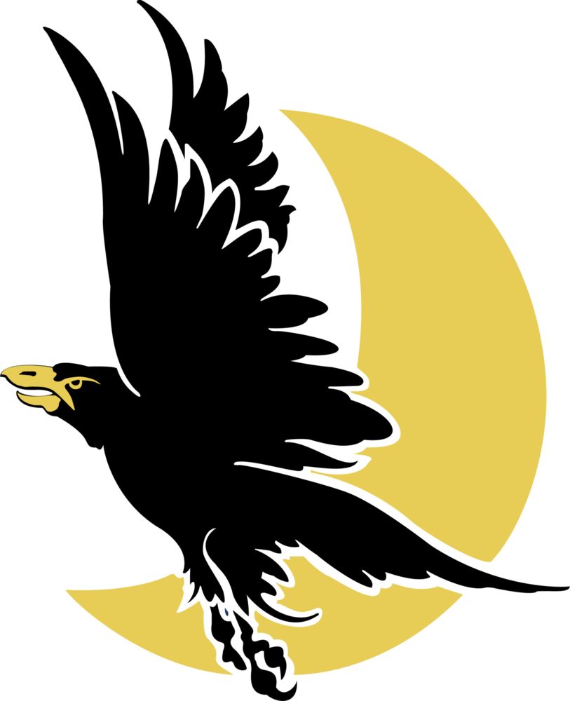 G.I.Joe - Night Raven Logo PNG Vector