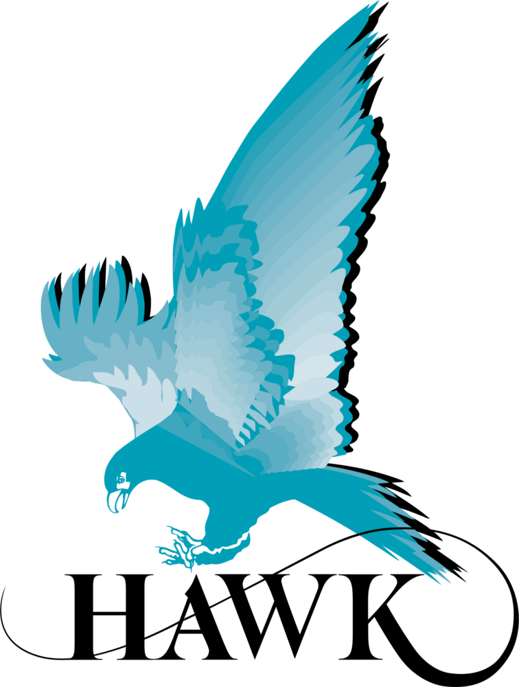 Hawk Measurement Systems Logo PNG Vector