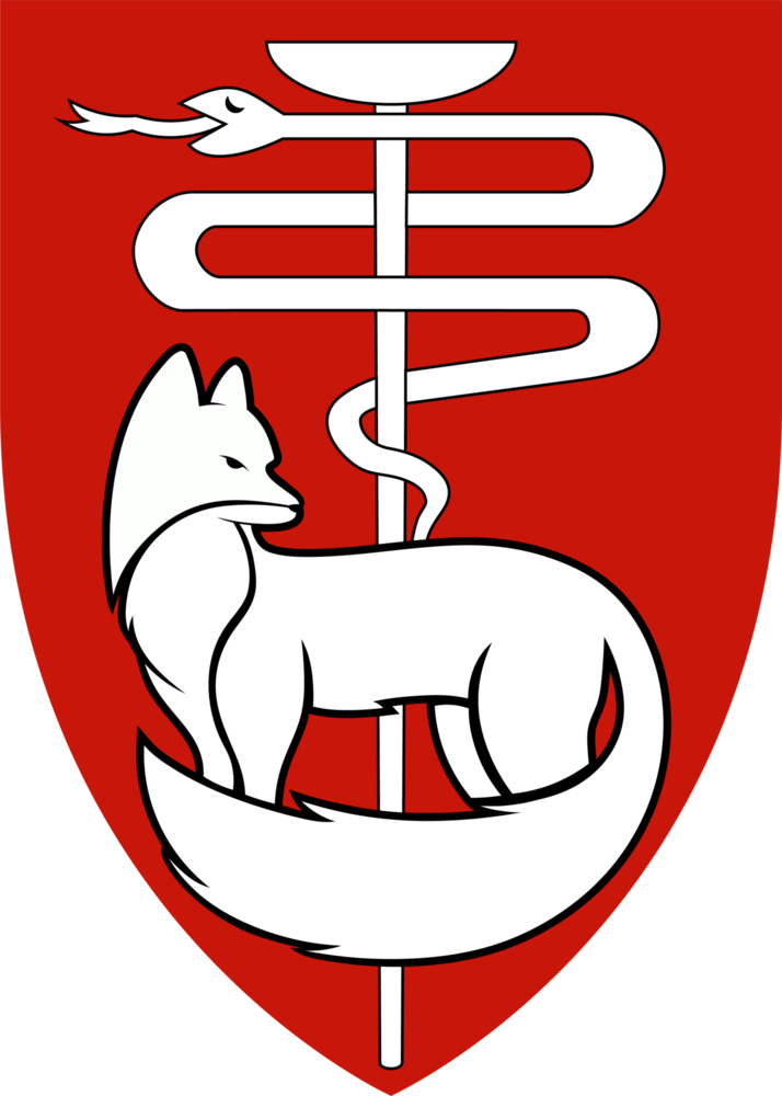 Idf Svg IDF Medical Corps at Southern Command Logo PNG Vector (SVG) Free Download