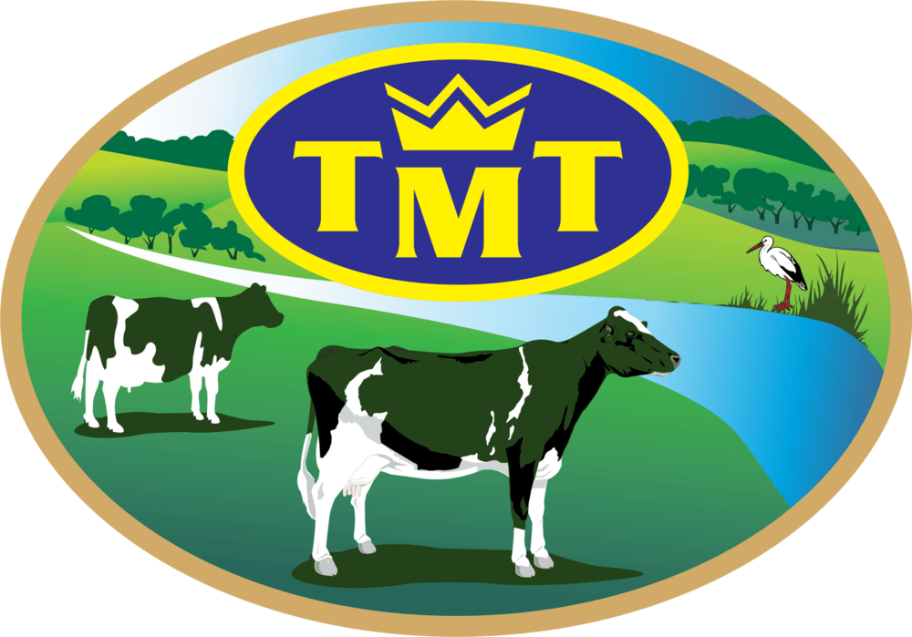 TMT Logo PNG Vector