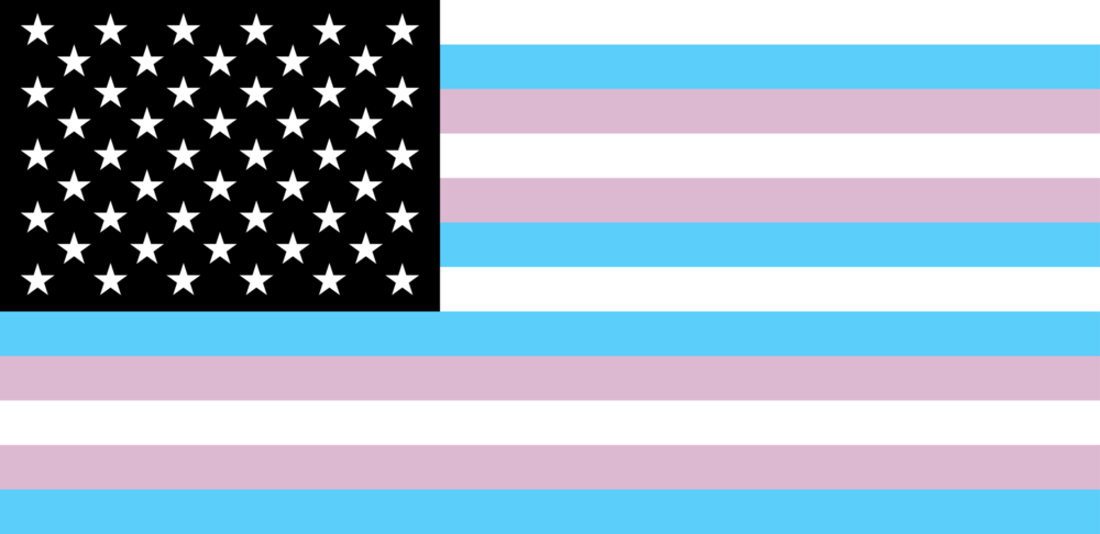 Trans America Logo PNG Vector