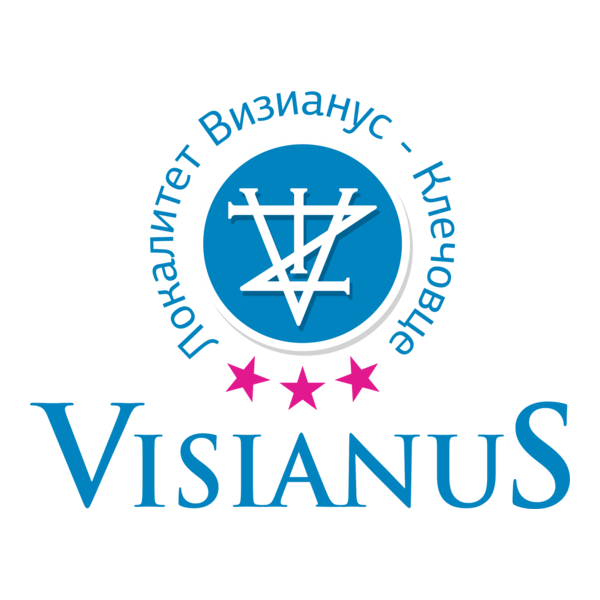 Viziana Logo PNG Vector