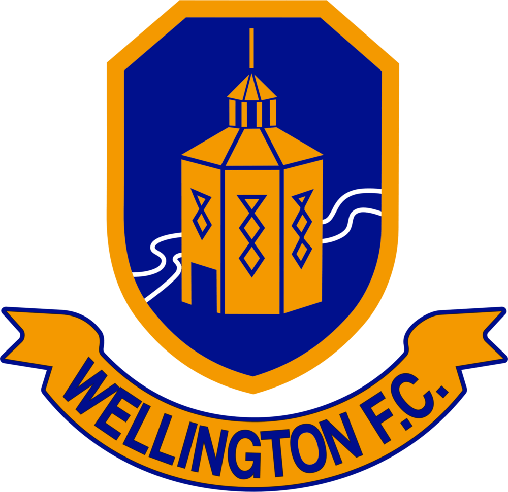 Wellington FC Logo PNG Vector