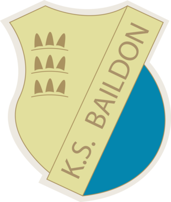 Baildon Katowice Logo PNG Vector