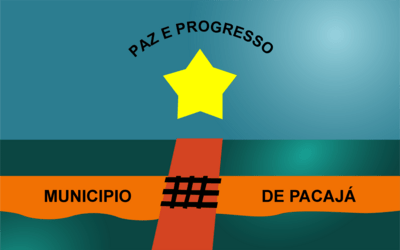 bandeira do pacajá Logo PNG Vector