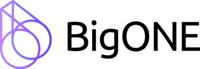 BigONE Logo PNG Vector