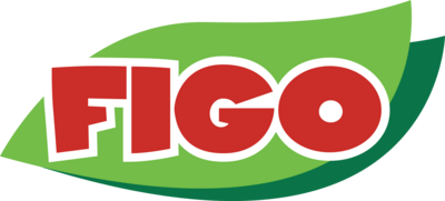 Figo Logo PNG Vector