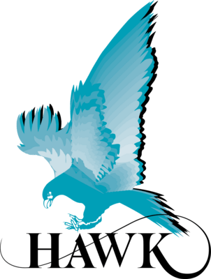 Hawk Measurement Systems Logo PNG Vector