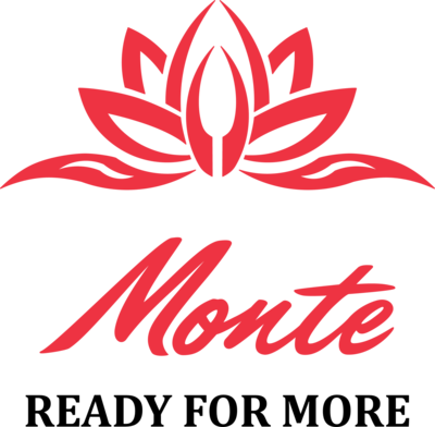 Monte Casino Logo PNG Vector