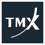 TMX Group Logo PNG Vector