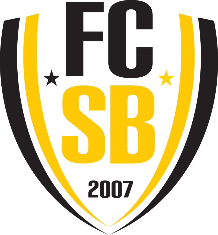 FC Svratka Brno Logo PNG Vector