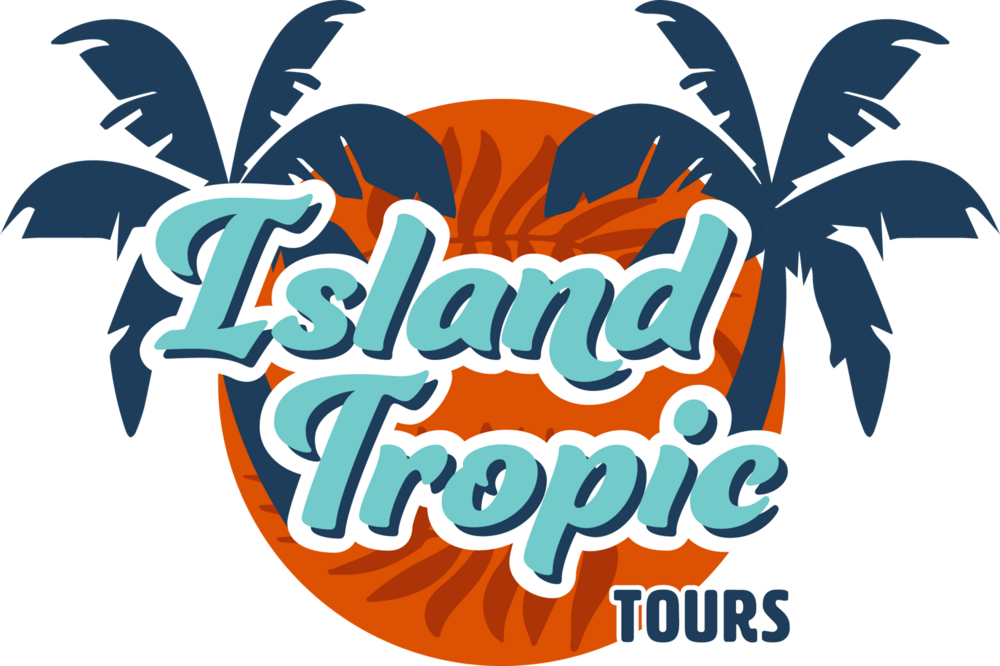 Island Tropic Tours Logo PNG Vector