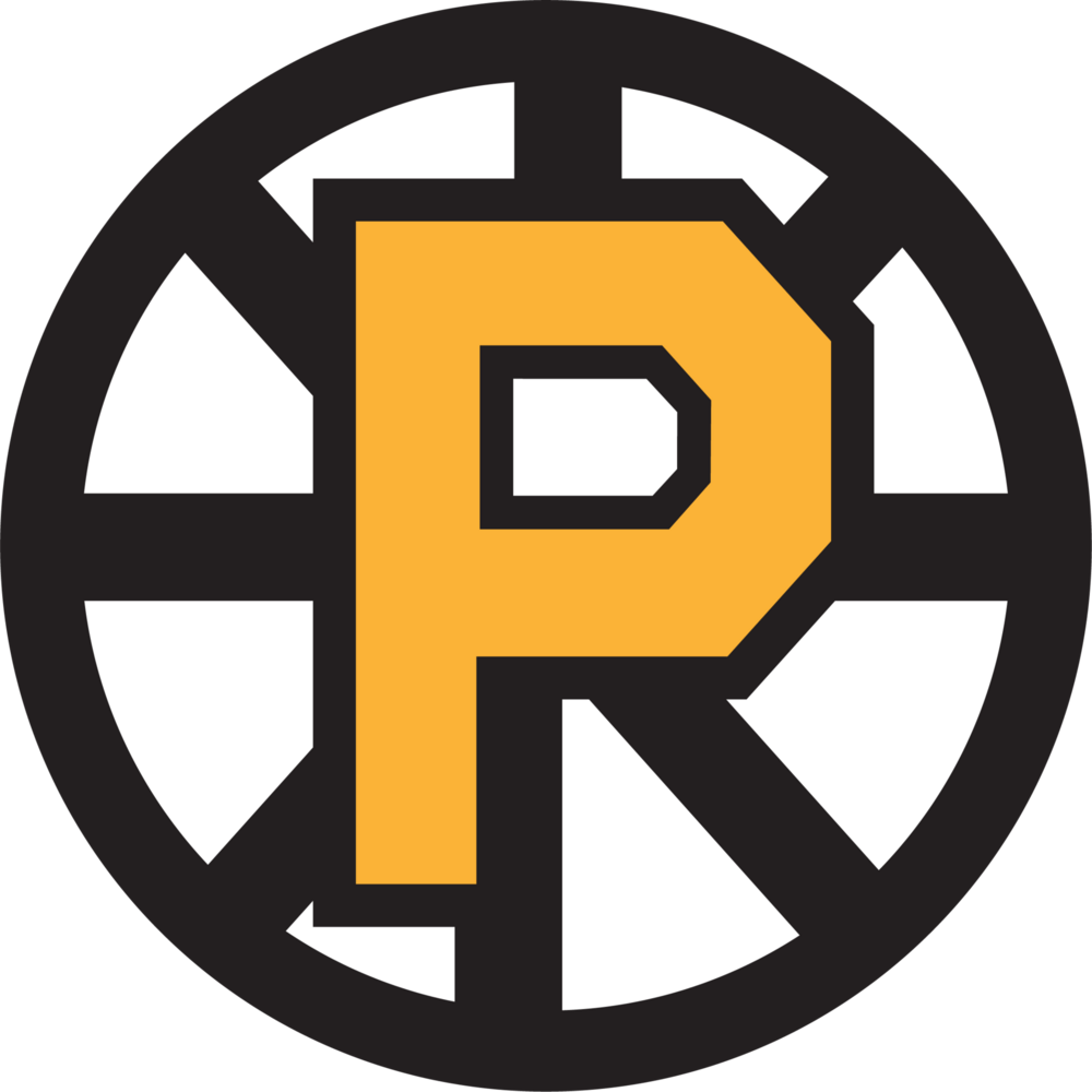 Providence Bruins Logo PNG Vector