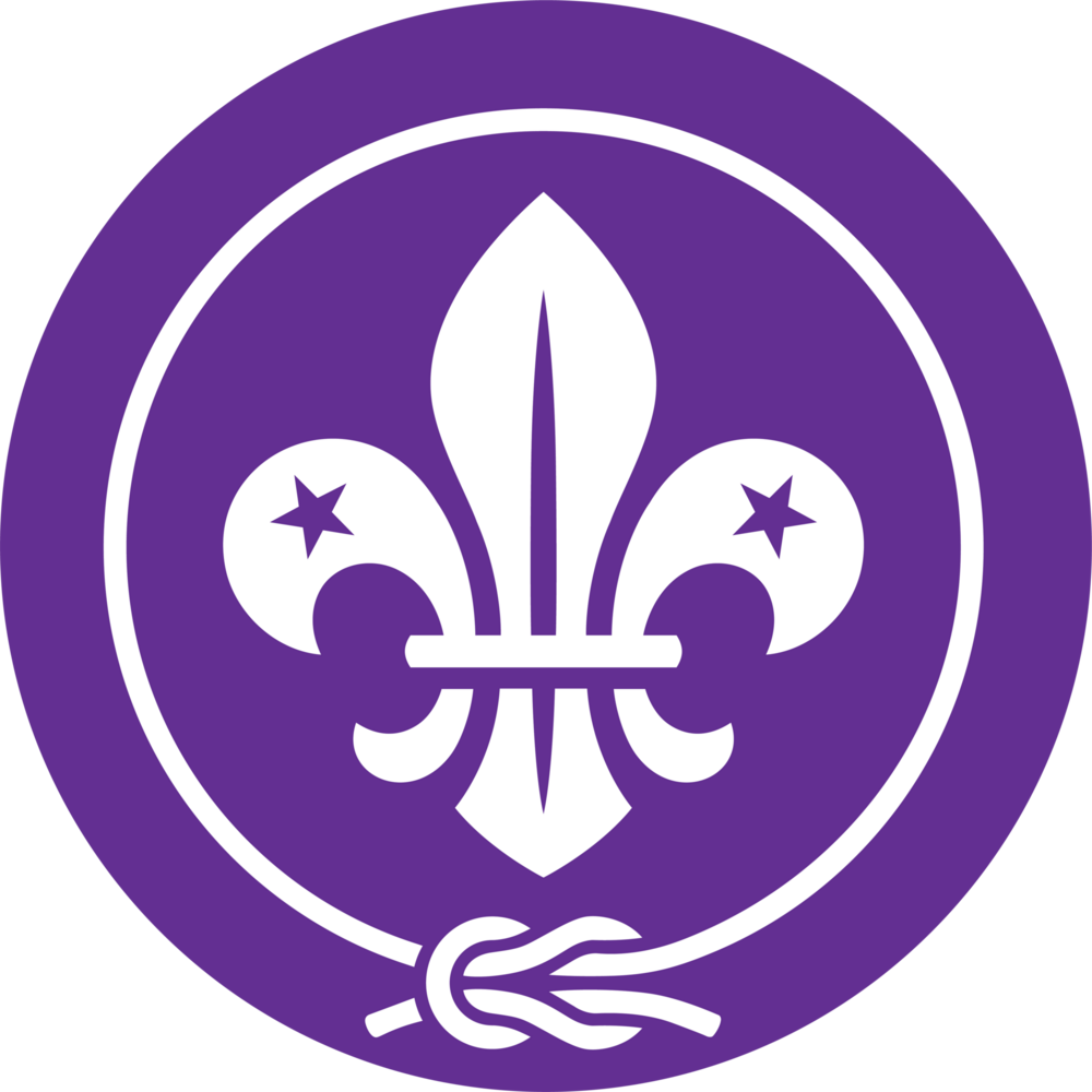 WOSM Logo PNG Vector