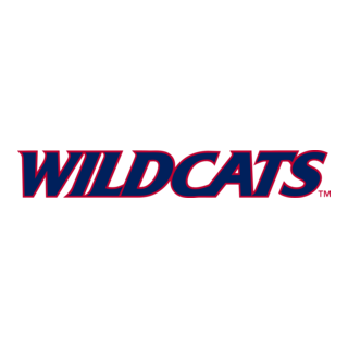 Arizona Wildcats Logo PNG Vector
