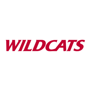 Arizona Wildcats Logo PNG Vector