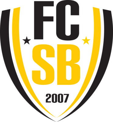 FC Svratka Brno Logo PNG Vector