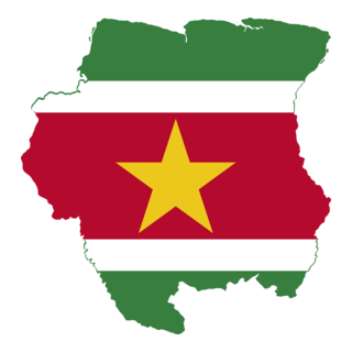 Flag map of Suriname Logo PNG Vector