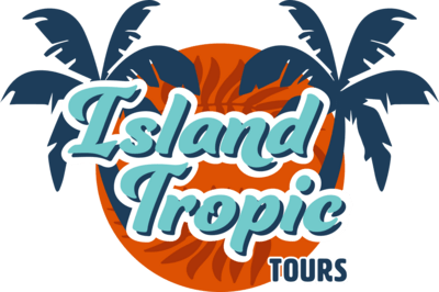 Island Tropic Tours Logo PNG Vector