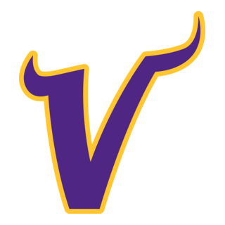 Minnesota Vikings Logo PNG Vector