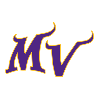 Minnesota Vikings Logo PNG Vector