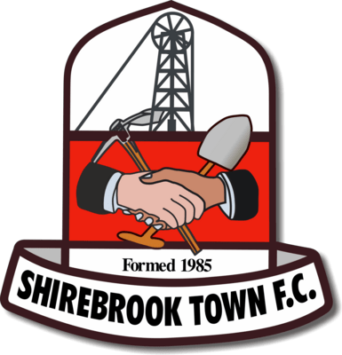 Snirebrook Town FC Logo PNG Vector