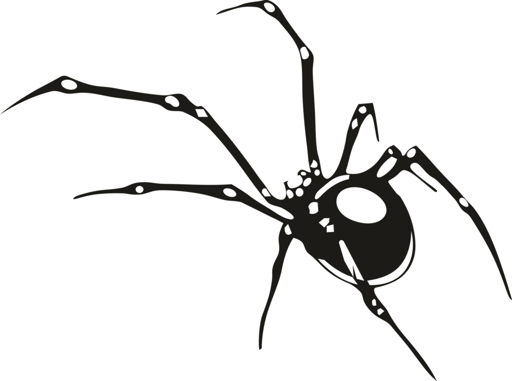 aranha Logo PNG Vector